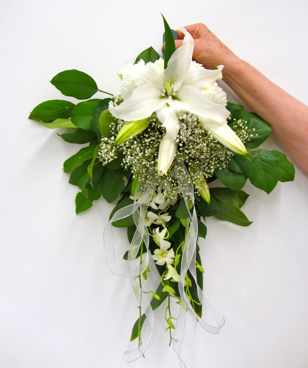 Aldona at Large It's Good News Week Toronto Botanical GardenToronto