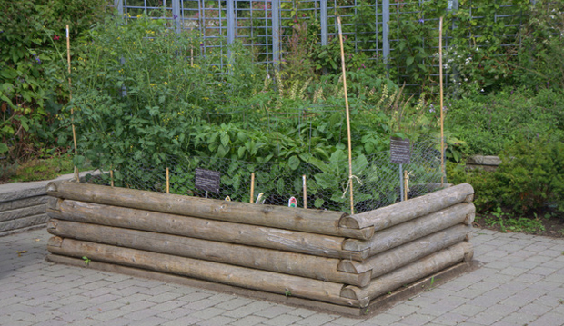 raised bed with logs