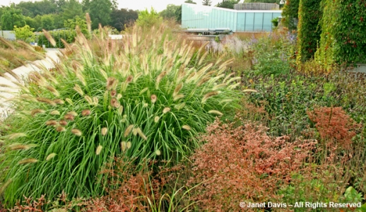 Fall and Winter in the Garden - Toronto Botanical Garden