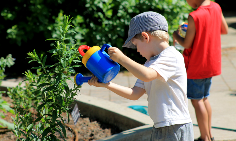 kids watering the garden - Toronto Botanical Garden