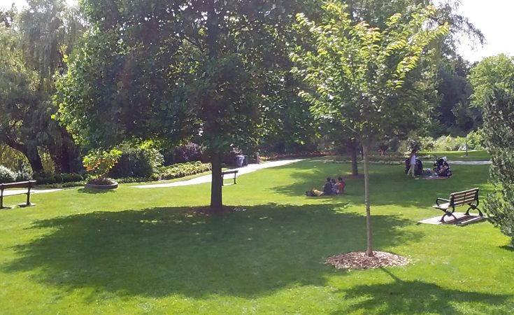 People sitting under the shade trees in Edwards Gardens