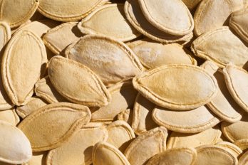 Close-up of squash seeds