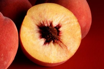 Sliced peach showing fleshy mesocarp
