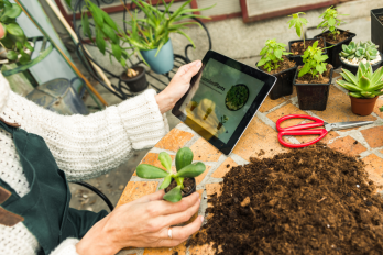 Online Learning Ipad and plants