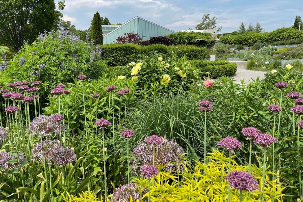 Home Page Toronto Botanical Garden Home Page Toronto Botanical Garden