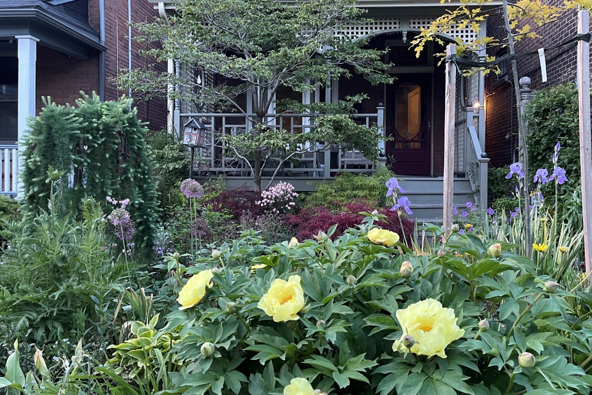 Through the Garden Gate: Riverdale - Toronto Botanical Garden