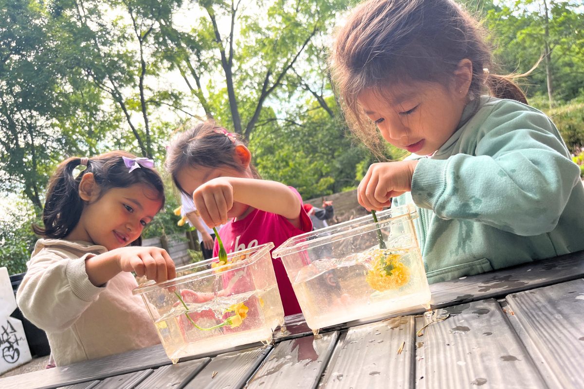 TBGKids Camps and Family Programs - Toronto Botanical Garden