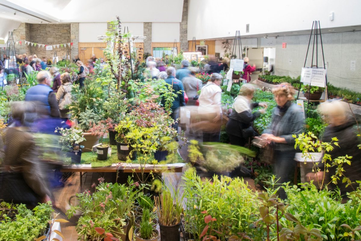 Pop-up markets, plant sales, and shows - Toronto Botanical Garden