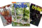 Read the latest Trellis Magazine Online