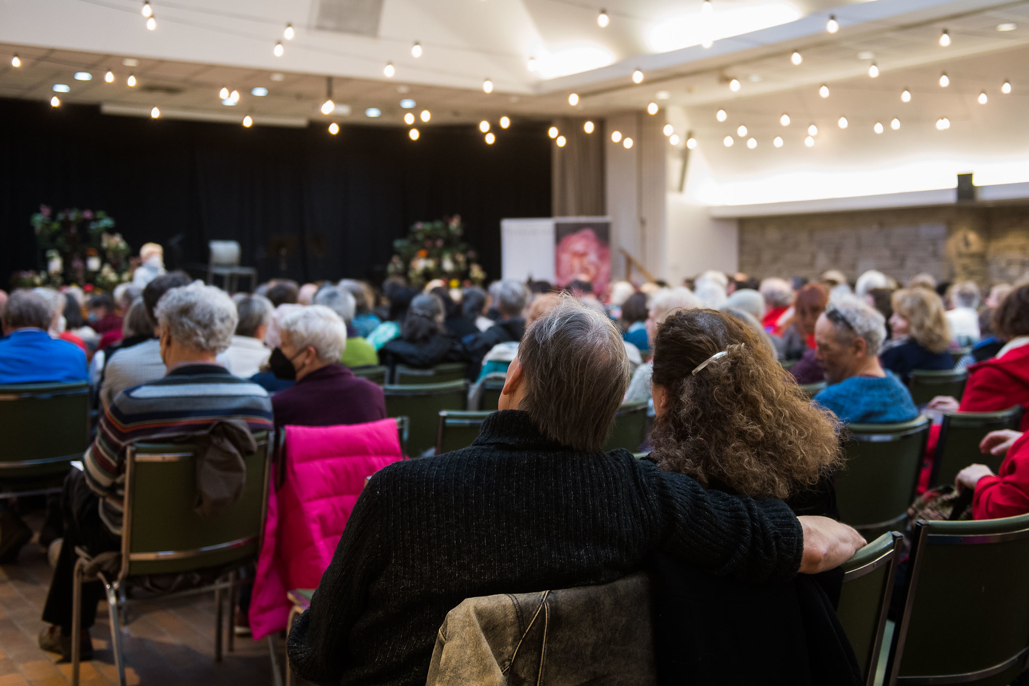 Green pine leaves and brown pine cones