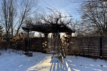 Winter archways in the Toronto Botanical Garden