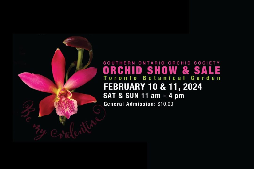 Annual Southern Ontario Orchid Society Show & Sale 2024 - Toronto
