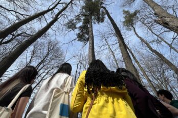 Biodiversity in Action