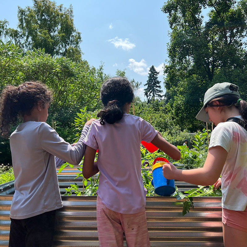 School Visits at Toronto Botanical Garden