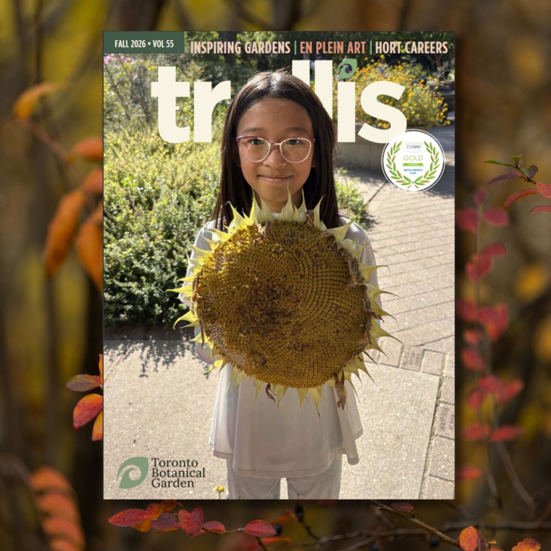 Trellis magazine Fall 2026